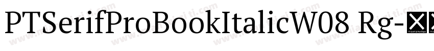 PTSerifProBookItalicW08 Rg字体转换
